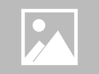 锯板油锯型号解析及选购技巧